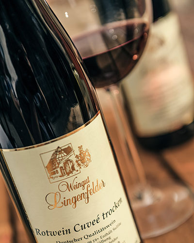 Weinkeller - Weingut Lingenfelder
